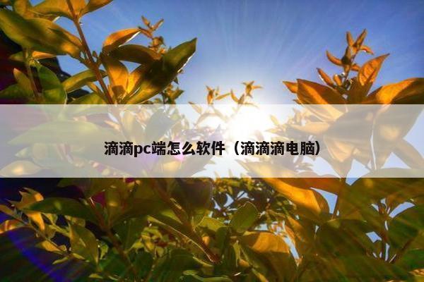 滴滴pc端怎么软件（滴滴滴电脑）