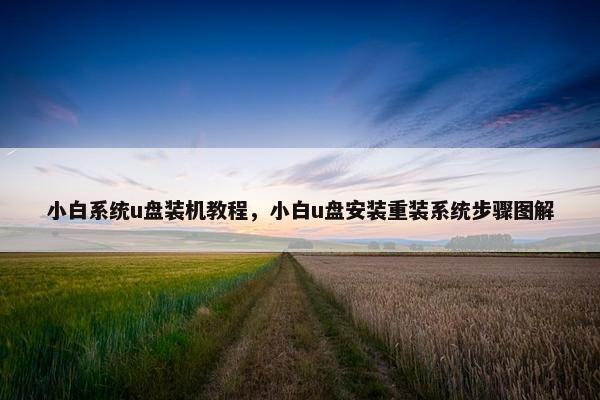 小白系统u盘装机教程，小白u盘安装重装系统步骤图解