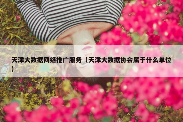 天津大数据网络推广服务（天津大数据协会属于什么单位）