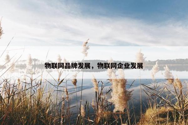 物联网品牌发展，物联网企业发展