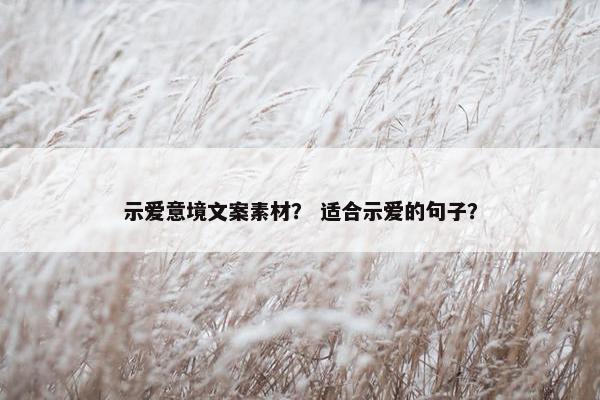 示爱意境文案素材？ 适合示爱的句子？