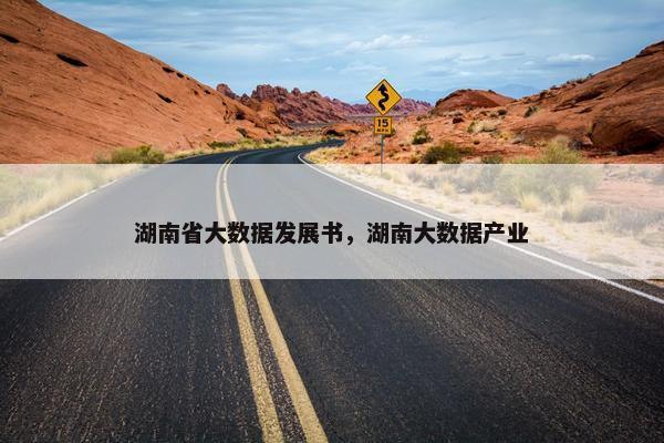 湖南省大数据发展书，湖南大数据产业