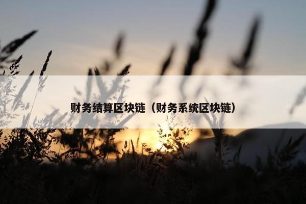 财务结算区块链（财务系统区块链）