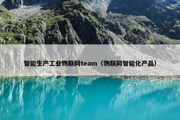 智能生产工业物联网team（物联网智能化产品）