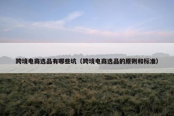 跨境电商选品有哪些坑(跨境电商选品的原则和标准) 跨境电商选品有哪些坑(跨境电商选品的原则和标准)