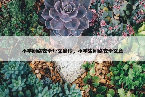 小学网络安全短文摘抄，小学生网络安全文章
