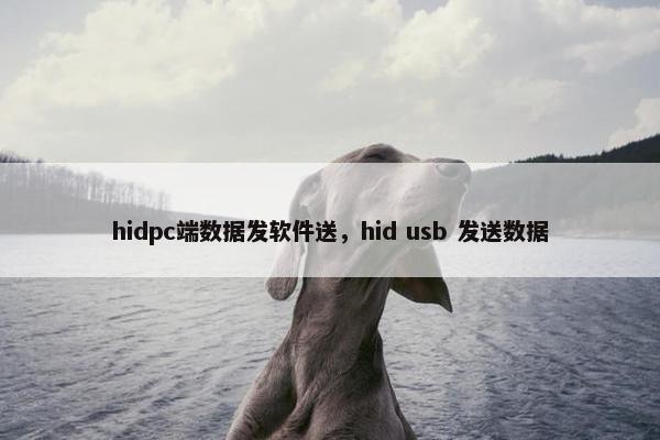hidpc端数据发软件送，hid usb 发送数据