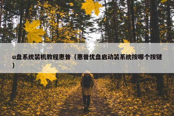 u盘系统装机教程惠普（惠普优盘启动装系统按哪个按键）