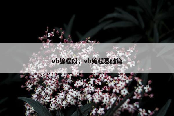 vb编程段，vb编程基础篇
