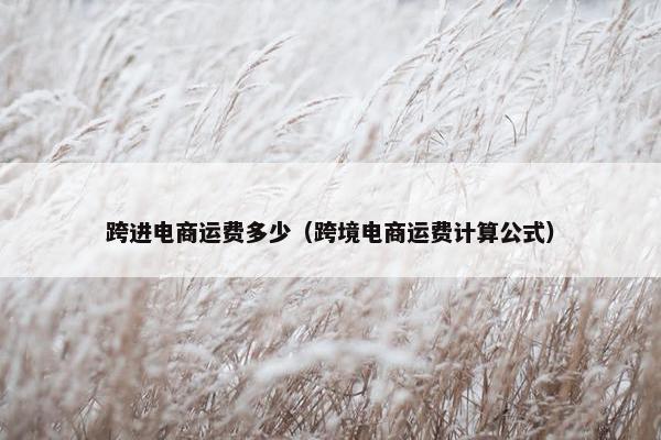 跨进电商运费多少(跨境电商运费计算公式) 跨进电商运费多少(跨境电商运费计算公式)