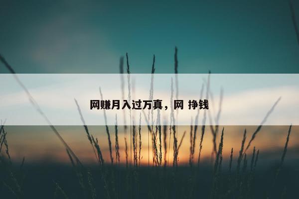网赚月入过万真，网 挣钱