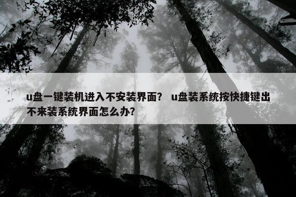 u盘一键装机进入不安装界面？ u盘装系统按快捷键出不来装系统界面怎么办？