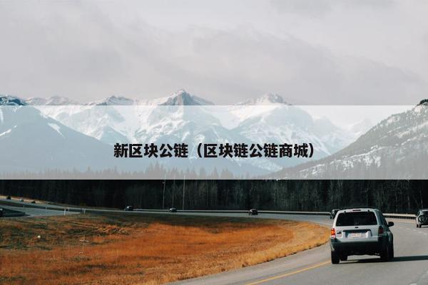 新区块公链（区块链公链商城）