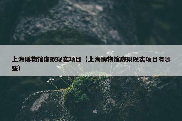 上海博物馆虚拟现实项目（上海博物馆虚拟现实项目有哪些）