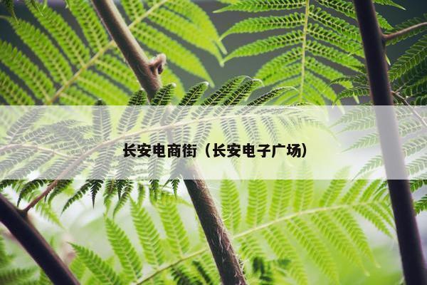 长安电商街（长安电子广场）