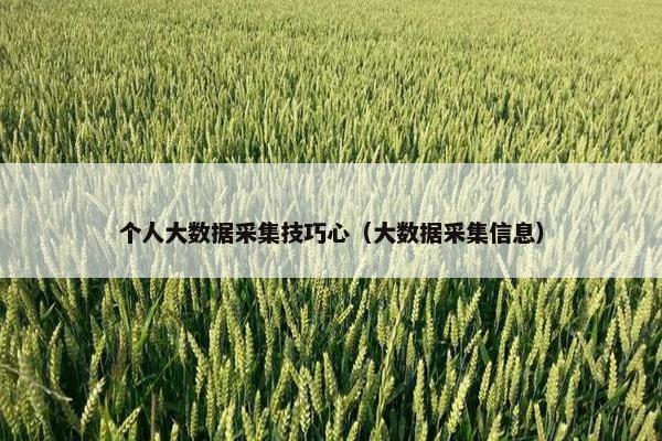 个人大数据采集技巧心（大数据采集信息）