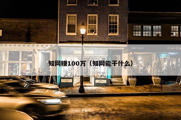 知网赚100万（知网能干什么）