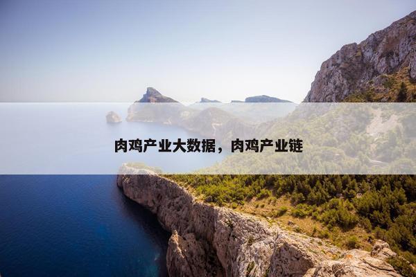 肉鸡产业大数据，肉鸡产业链