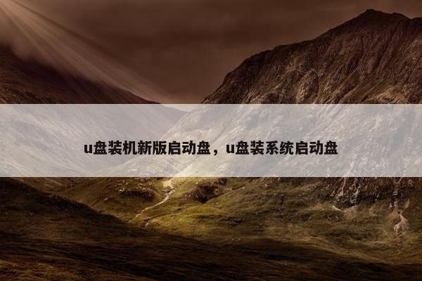 u盘装机新版启动盘，u盘装系统启动盘