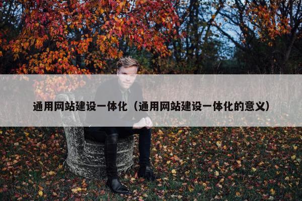 通用网站建设一体化（通用网站建设一体化的意义）