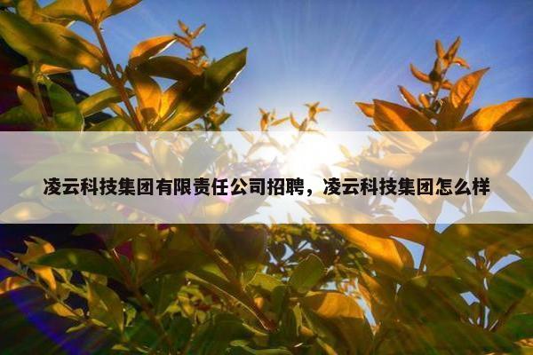 凌云科技集团有限责任公司招聘,凌云科技集团怎么样 凌云科技集团有限责任公司招聘,凌云科技集团怎么样
