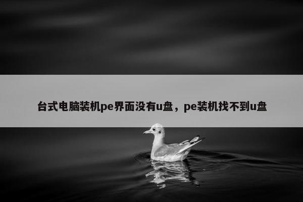台式电脑装机pe界面没有u盘，pe装机找不到u盘