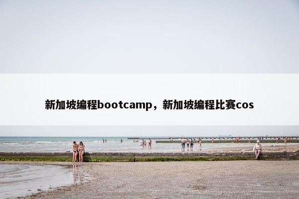 新加坡编程bootcamp，新加坡编程比赛cos