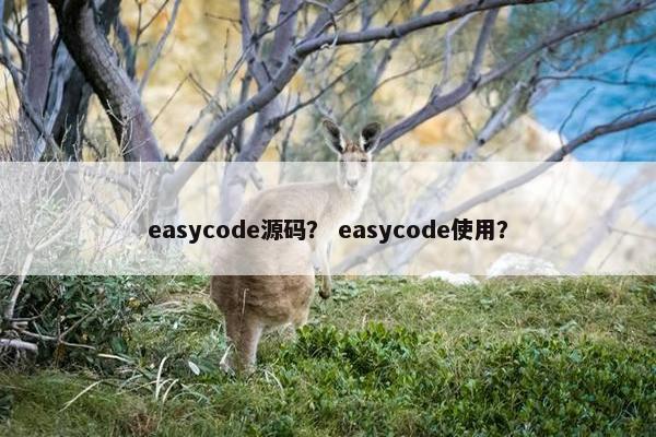 easycode源码？ easycode使用？