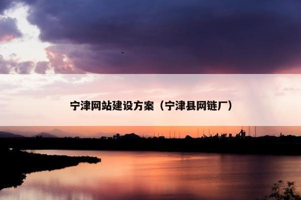 宁津网站建设方案（宁津县网链厂）