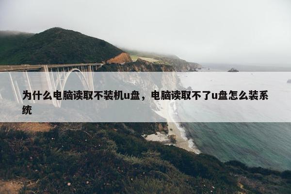 为什么电脑读取不装机u盘,电脑读取不了u盘怎么装系统 为什么电脑读取不装机u盘,电脑读取不了u盘怎么装系统