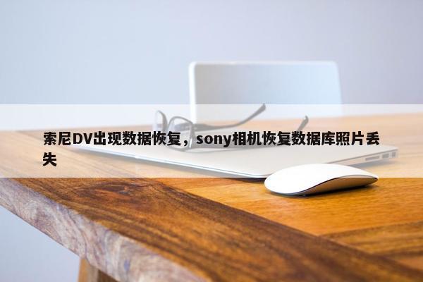 索尼DV出现数据恢复,sony相机恢复数据库照片丢失 索尼DV出现数据恢复,sony相机恢复数据库照片丢失