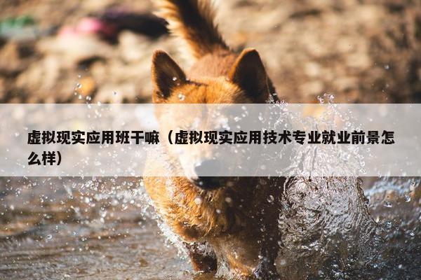 虚拟现实应用班干嘛(虚拟现实应用技术专业就业前景怎么样) 虚拟现实应用班干嘛(虚拟现实应用技术专业就业前景怎么样)