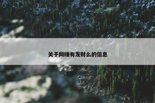 关于网赚有发财么的信息 关于网赚有发财么的信息