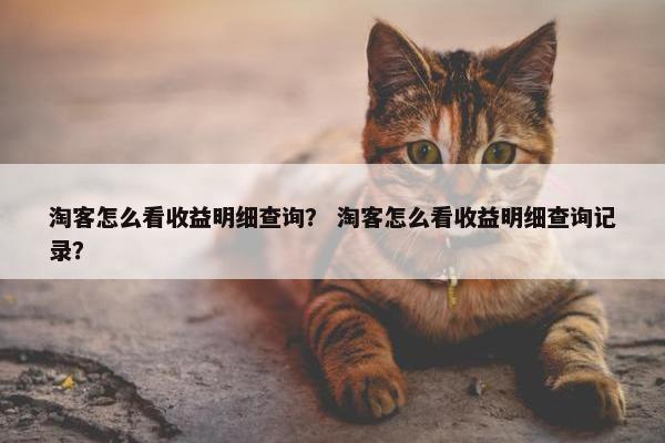 淘客怎么看收益明细查询？ 淘客怎么看收益明细查询记录？