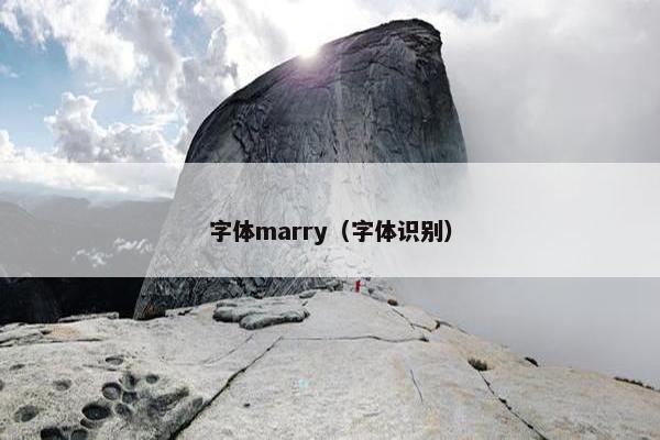 字体marry（字体识别）
