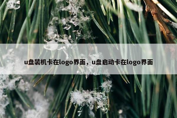 u盘装机卡在logo界面,u盘启动卡在logo界面 u盘装机卡在logo界面,u盘启动卡在logo界面