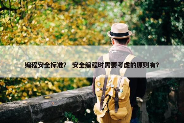 编程安全标准? 安全编程时需要考虑的原则有? 编程安全标准? 安全编程时需要考虑的原则有?