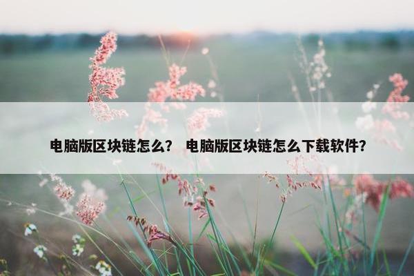 电脑版区块链怎么? 电脑版区块链怎么下载软件? 电脑版区块链怎么? 电脑版区块链怎么下载软件?
