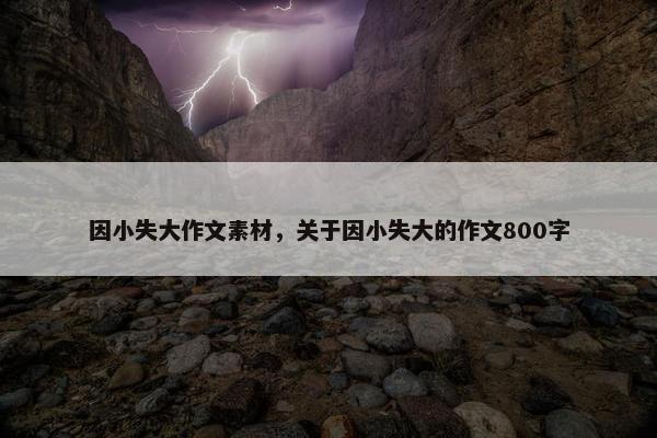 因小失大作文素材，关于因小失大的作文800字