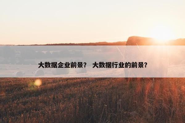 大数据企业前景? 大数据行业的前景? 大数据企业前景? 大数据行业的前景?