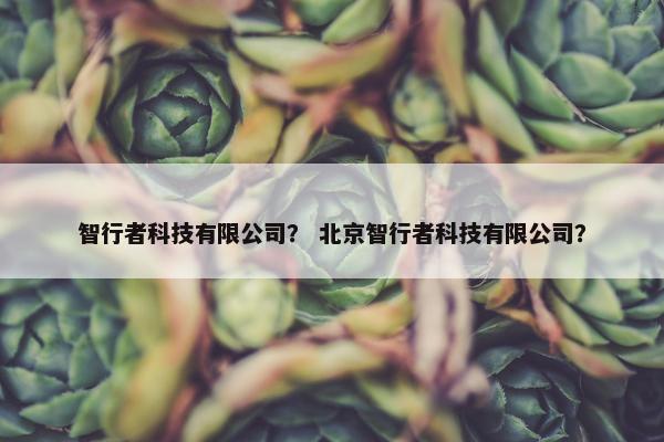智行者科技有限公司? 北京智行者科技有限公司? 智行者科技有限公司? 北京智行者科技有限公司?