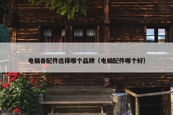 电脑各配件选择哪个品牌（电脑配件哪个好）