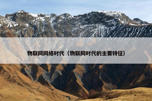 物联网网络时代(物联网时代的主要特征) 物联网网络时代(物联网时代的主要特征)