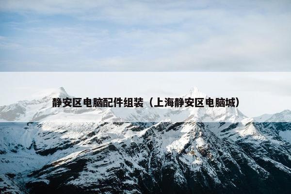 静安区电脑配件组装（上海静安区电脑城）