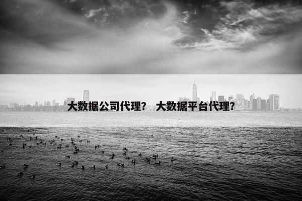 大数据公司代理? 大数据平台代理? 大数据公司代理? 大数据平台代理?
