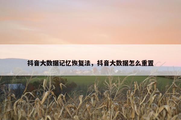 抖音大数据记忆恢复法,抖音大数据怎么重置 抖音大数据记忆恢复法,抖音大数据怎么重置