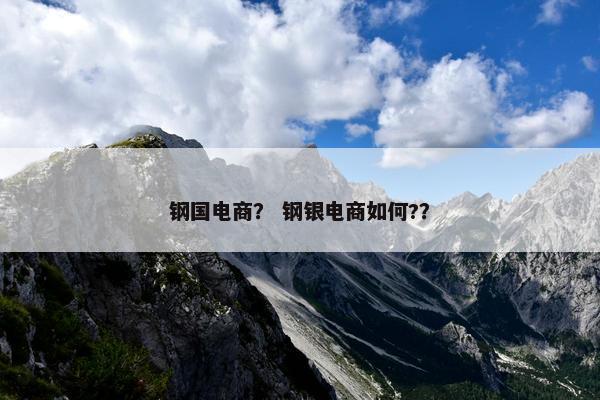 钢国电商? 钢银电商如何?? 钢国电商? 钢银电商如何??