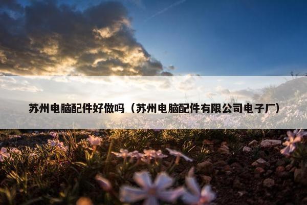 苏州电脑配件好做吗(苏州电脑配件有限公司电子厂) 苏州电脑配件好做吗(苏州电脑配件有限公司电子厂)