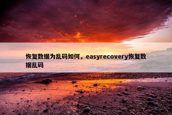 恢复数据为乱码如何,easyrecovery恢复数据乱码 恢复数据为乱码如何,easyrecovery恢复数据乱码