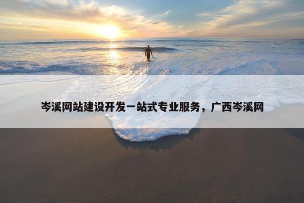 岑溪网站建设开发一站式专业服务，广西岑溪网